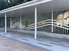 -清湖文化公园