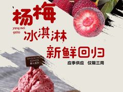 -野人先生现做冰淇淋(北京顺义祥云小镇店)