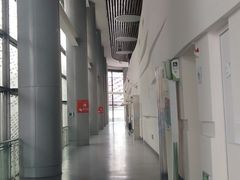 -深圳市南山文体中心-羽毛球馆