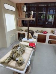 -奈尔宝·国风主题儿童乐园·亲子餐厅(豫园商城店)