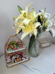 -禾壹净·素颜美问题肌肤修护中心