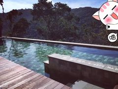 -三亚亚龙湾人间天堂鸟巢度假村