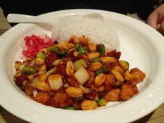 宫保鸡丁饭-阳阳中国饭(北京荟聚店)
