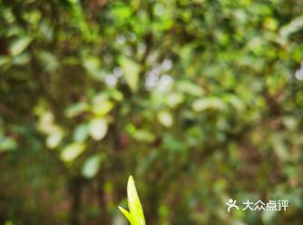 土房～土灶～土鱼～土茶