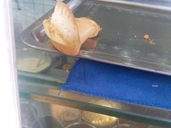 -易老大蛋烘糕(奎星楼总店)