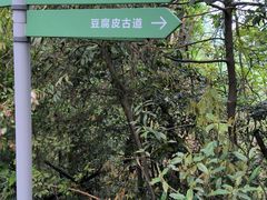 -午潮山国家森林公园