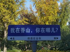 -香山公园