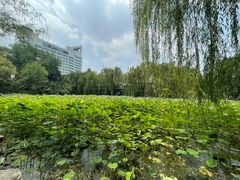 -莲湖公园