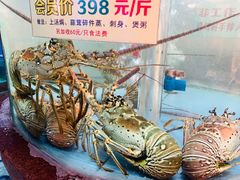 -金龙渔港(双楠店)