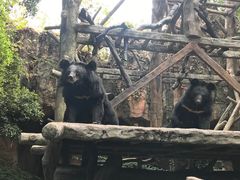 -长鹿旅游休博园