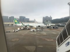 -中免(澳门机场免税店)