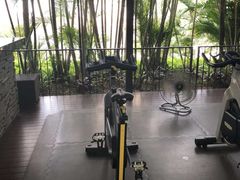 -新加坡文华东方酒店