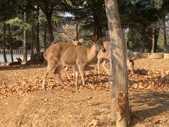 -观唐（国际）度假村温泉