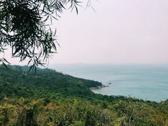 -南丫岛