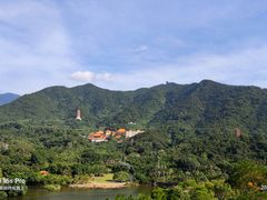 -深圳仙湖植物园