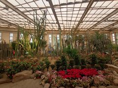 -石家庄市植物园