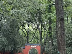 -灵谷景区