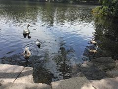 -台州府城(东湖)