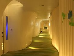 -深圳东部华侨城瀑布酒店
