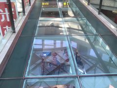 -高新活力汇Vitality