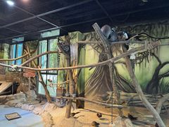 -海合安武汉极地海洋公园