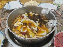 -乳仔牛牦牛汤锅 烤羊排(松潘古城店)
