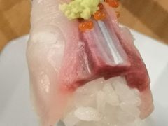 -一本钓鲔鱼屋