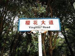 -武汉大学-樱园