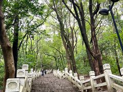 -灵岩山风景区