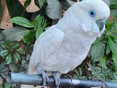 -南宫五洲植物乐园