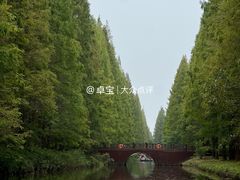 -黄海国家森林公园