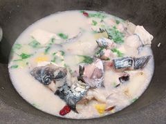 -鲜潭蒸汽石锅鱼(五道口购物中心店)