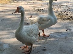 -西部长青自然儿童乐园