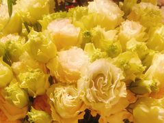 -深圳威尼斯英迪格酒店