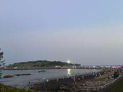-小麦岛公园