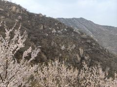 -北京凤凰岭