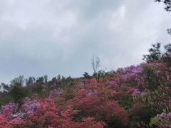 -木兰云雾山
