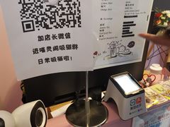 -三花喵·撸猫购宠·宠物生活馆(虹桥南丰城店)