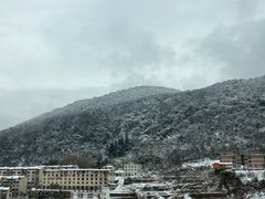 -武陵山森林公园