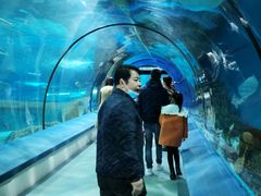 -福州罗源湾海洋世界旅游区