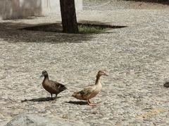 -香山公园-东宫门售票处