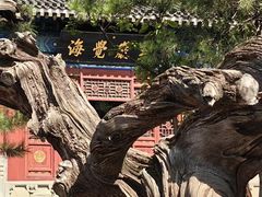 -大钟寺古钟博物馆