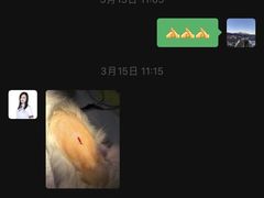 -宠爱国际动物医院· 猫科· 外科·中兽医(长白店)