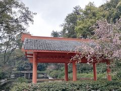 -南山植物园
