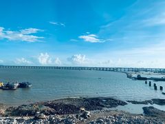 -深圳湾公园(南山区)
