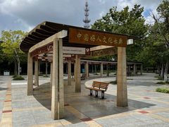 -紫薇公园