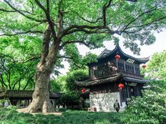 -惠山古镇·寄畅园