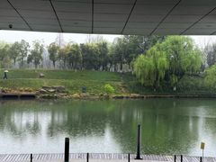 -中国湿地博物馆
