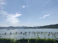 -湖畔居茶楼(湖滨店)