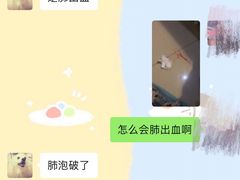 -利又安动物医院··老年病·猫科犬科·中兽医